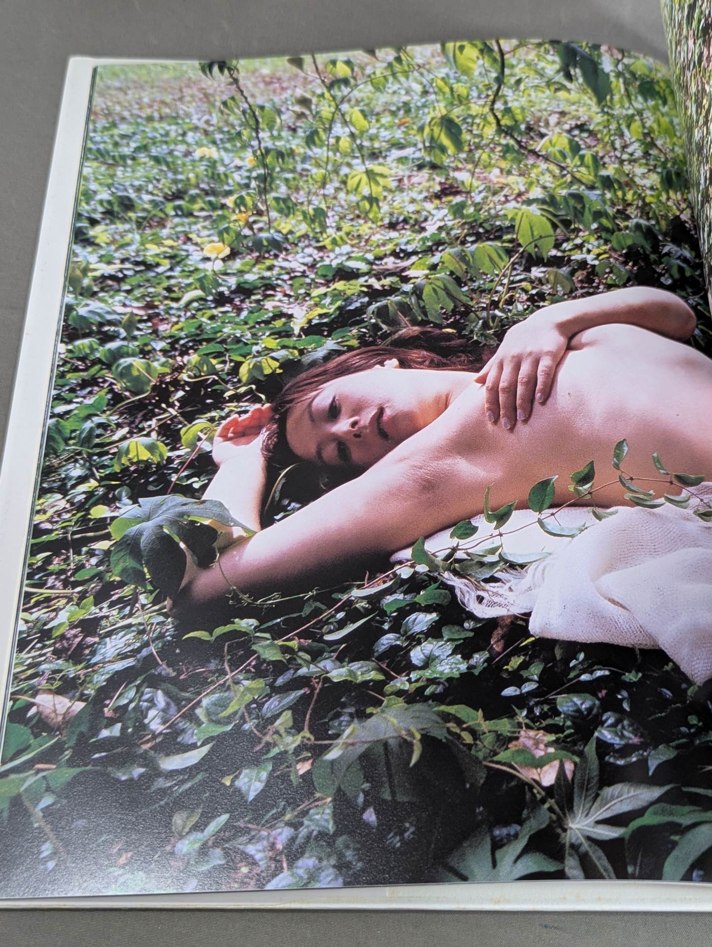 Cute Tale photo collection