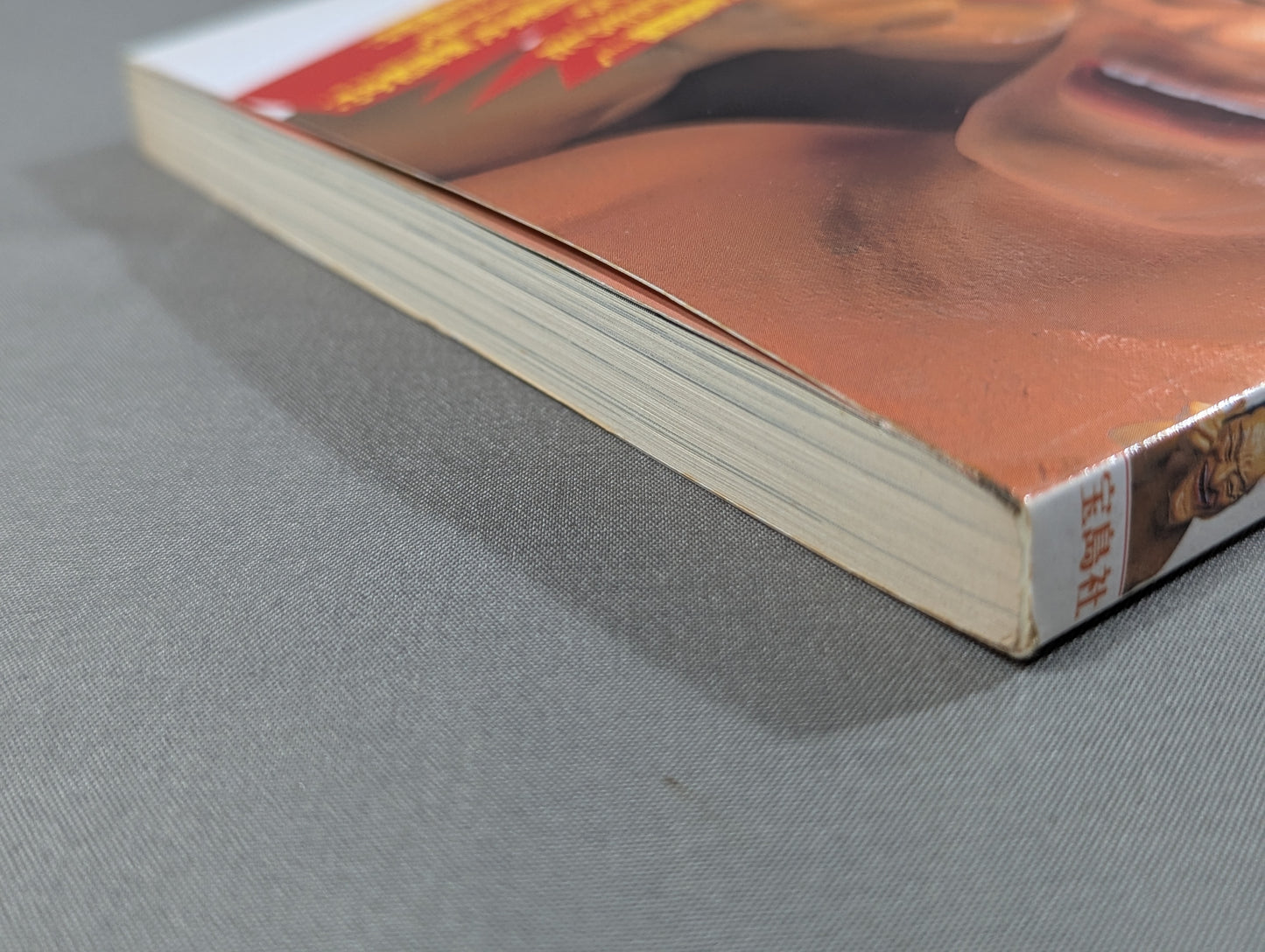 Bessatsu Takarajima 302 Pro Wrestling  End of the Century Reader Definitive Edition!