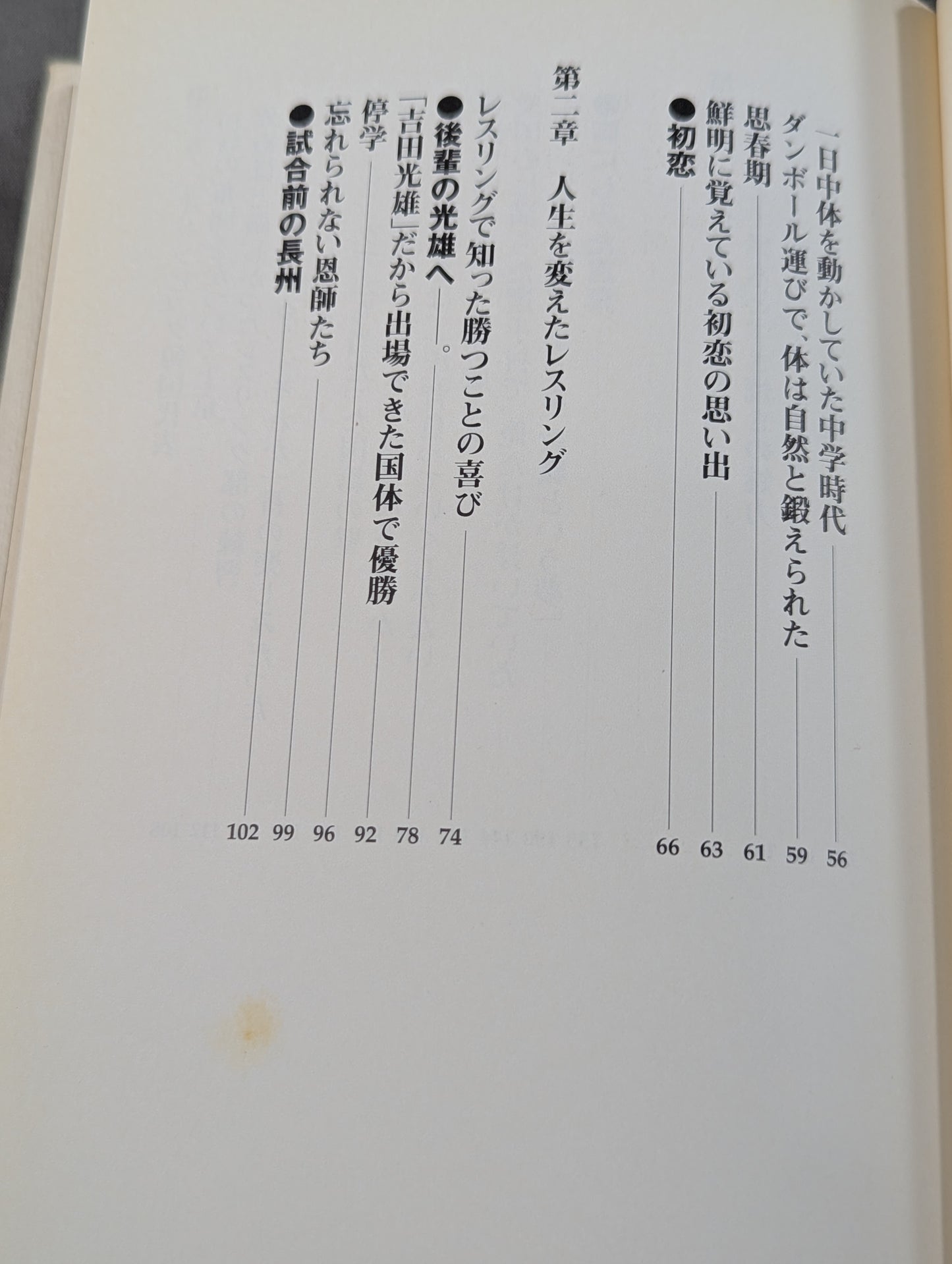Rebellious ism: The light and shadow of Riki Choshu