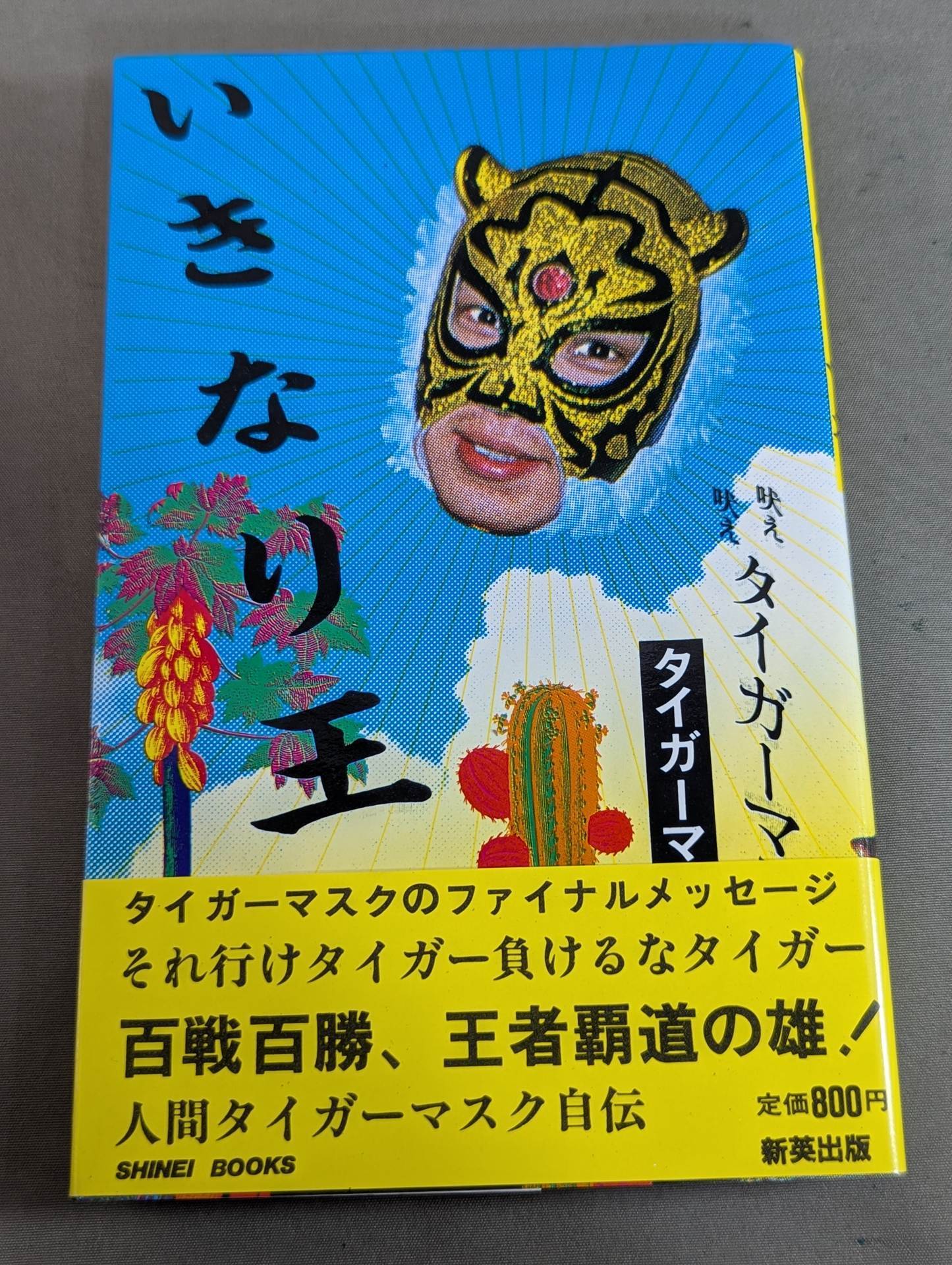 ジ*ル様 2010 WORLD STARS サイン入り野球 タイガーマスク ジ*ル様 2010 WORLD STARS サイン入り野球 タイガーマスク ジ*ル様