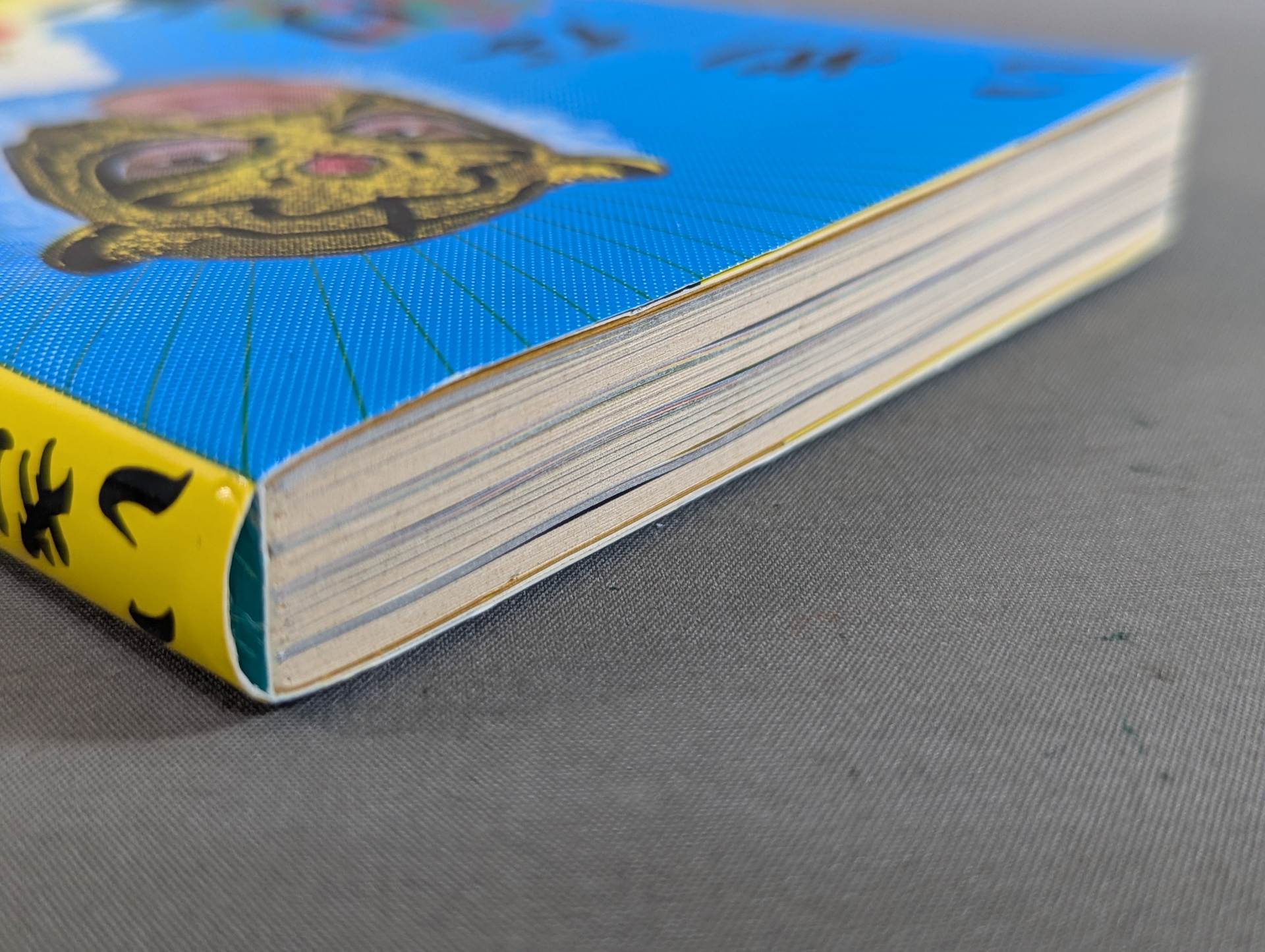 タイガーマスク 直筆サイン入り】いきなり王者。 – 闘道館