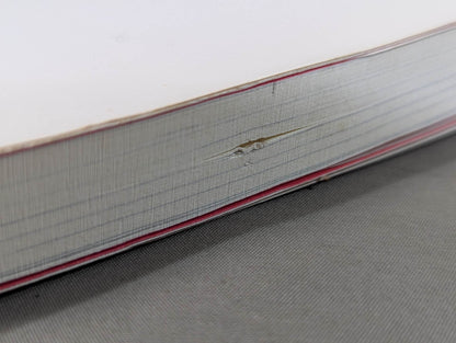 みちのく夢伝説  ザ・グレート・サスケと愉快な仲間