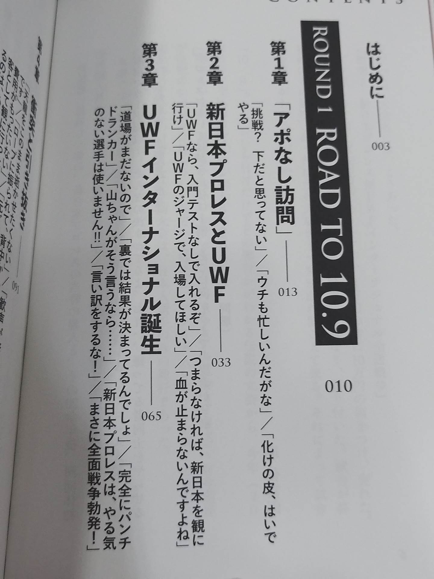 10.9 プロレスのいちばん熱い日　新日本プロレスvsUWFインターナショナル全面戦争　30年目の真実