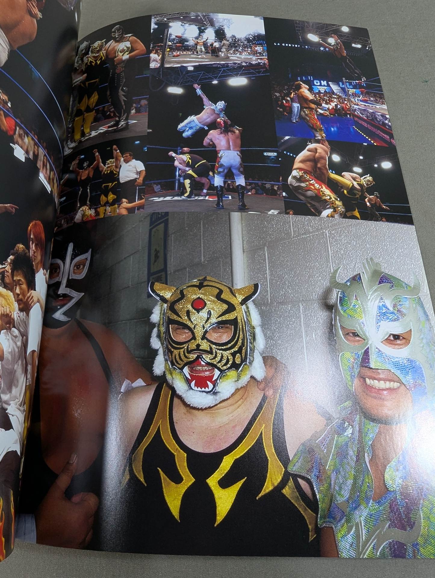 FOTOLIBRE de Mascara Numero.55