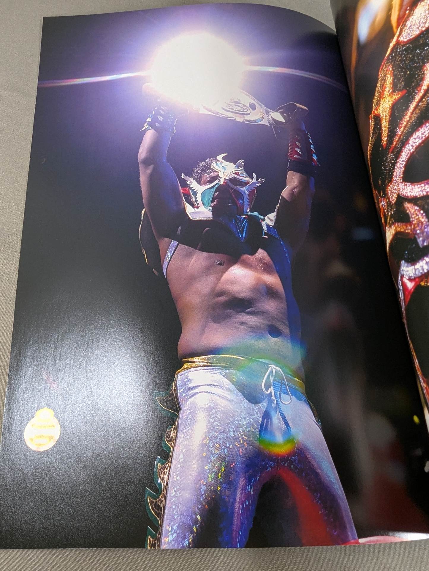 FOTOLIBRE de Mascara Numero.55