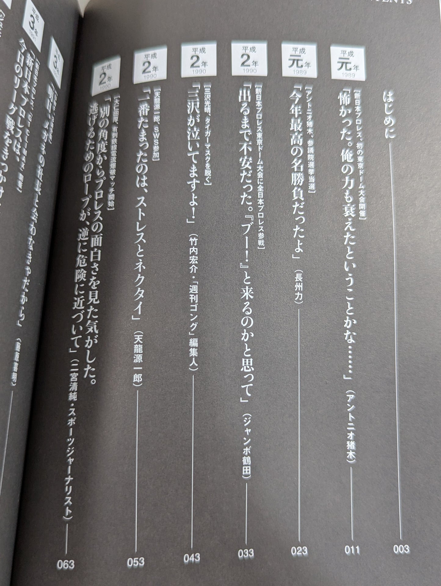 Heisei Pro Wrestling 30 Case Files Unknown, the words that marked the history of the 30s and the truth
