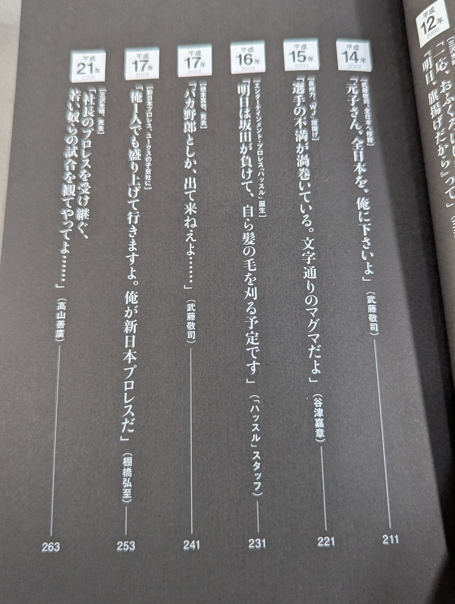 Heisei Pro Wrestling 30 Case Files Unknown, the words that marked the history of the 30s and the truth