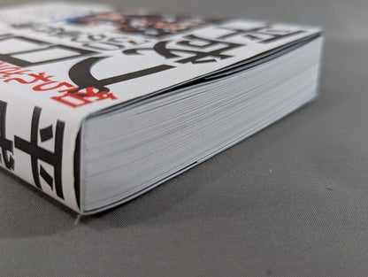 Heisei Pro Wrestling 30 Case Files Unknown, the words that marked the history of the 30s and the truth