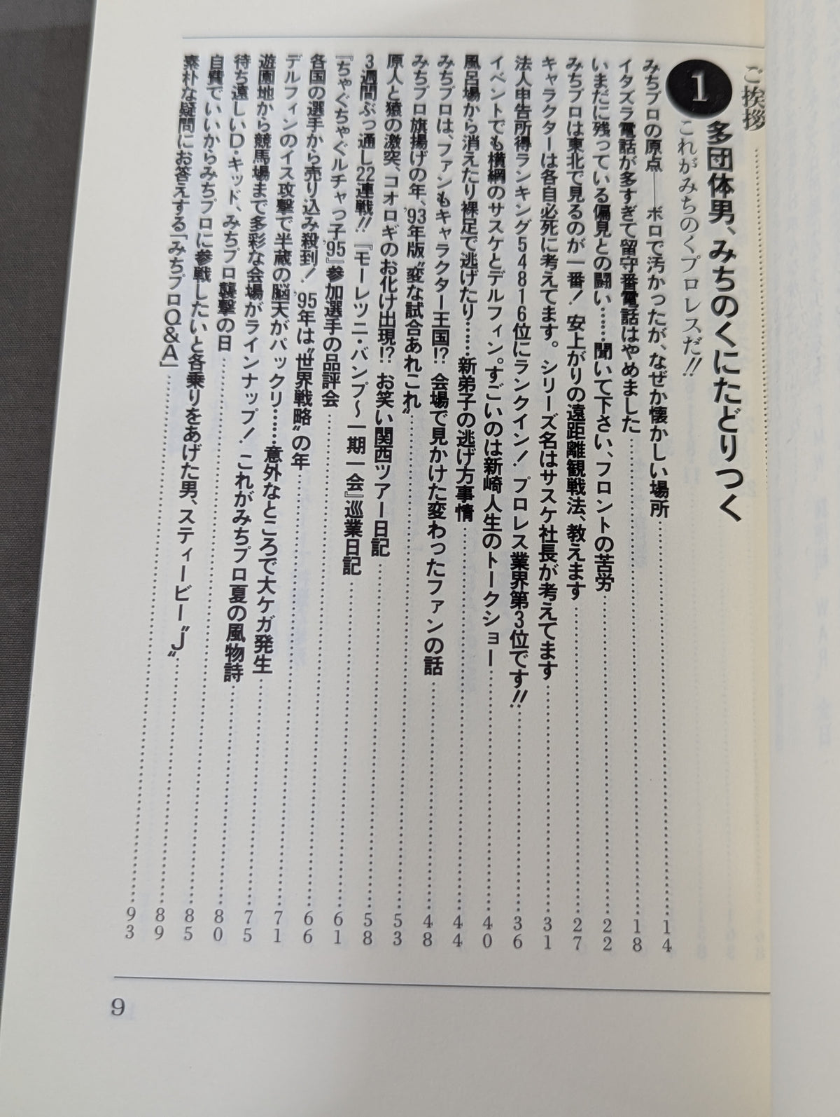 みちのく ルチャバカ日誌