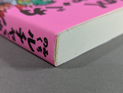 みちのく ルチャバカ日誌
