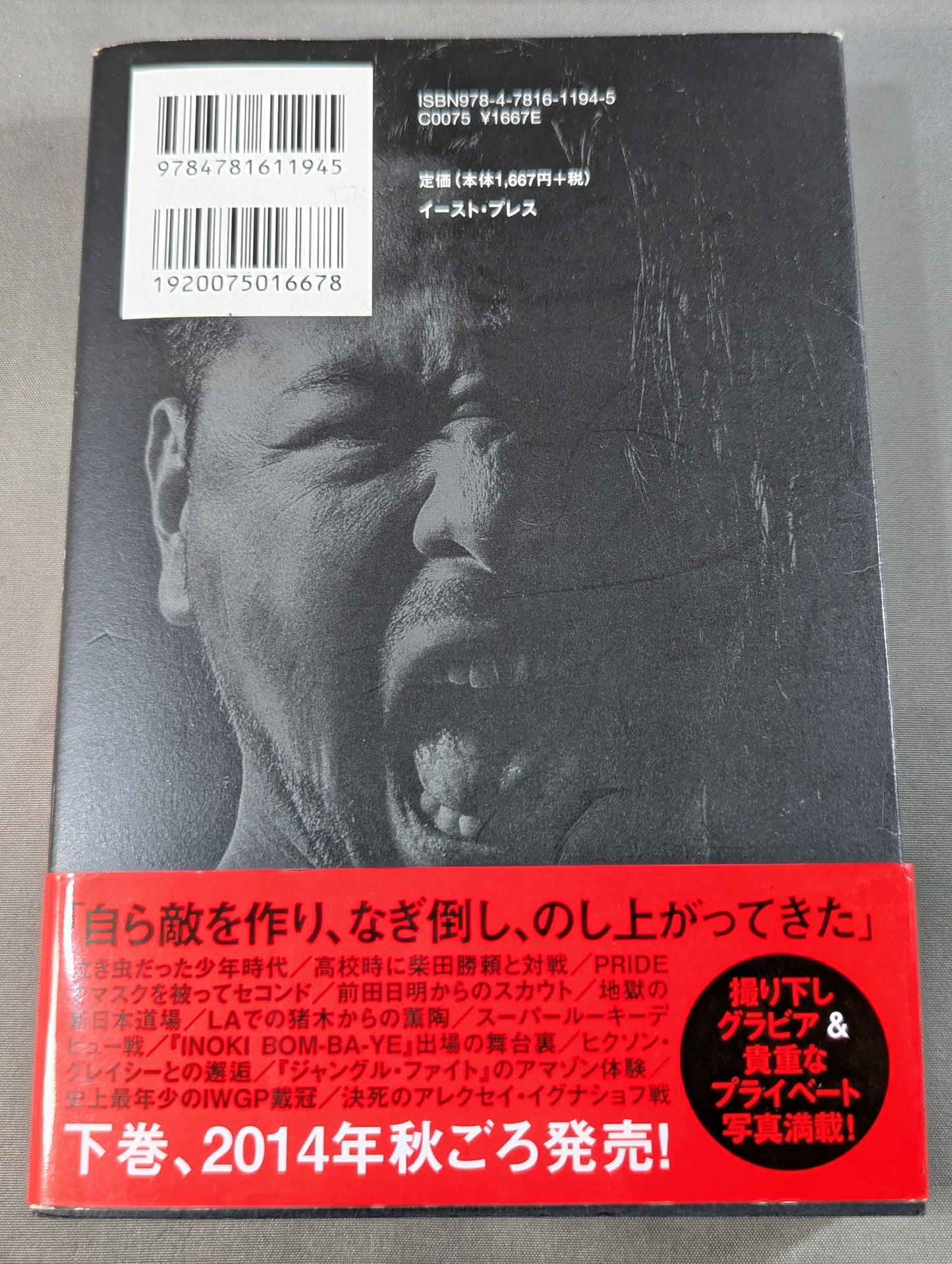 中邑真輔自伝 キング・オブ・ストロングスタイル 1980-2004 上巻