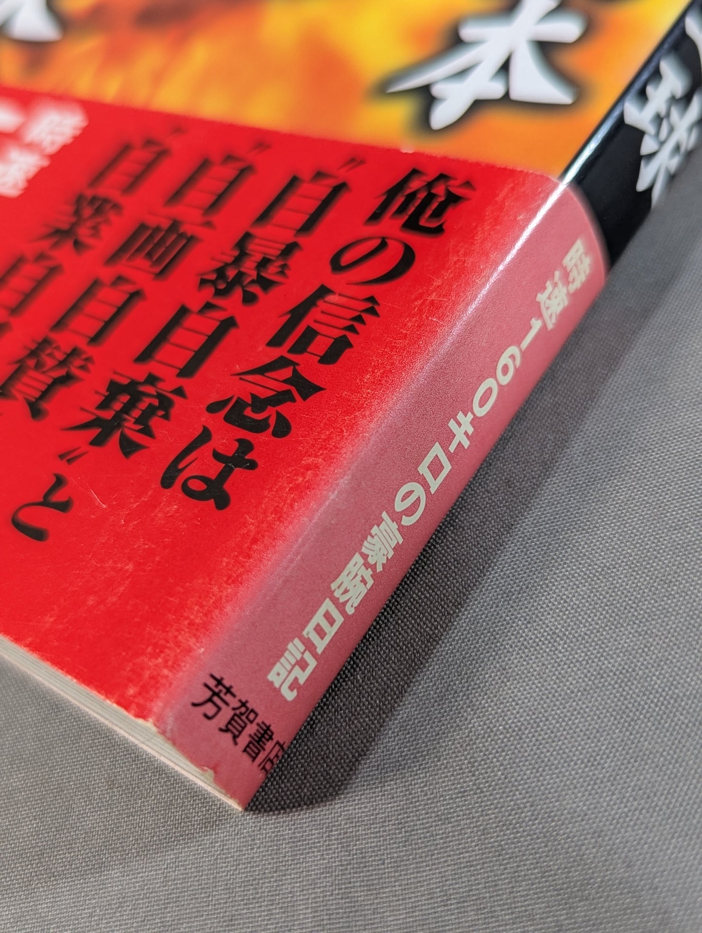 ターザン山本豪速球  時速160キロの豪腕日記