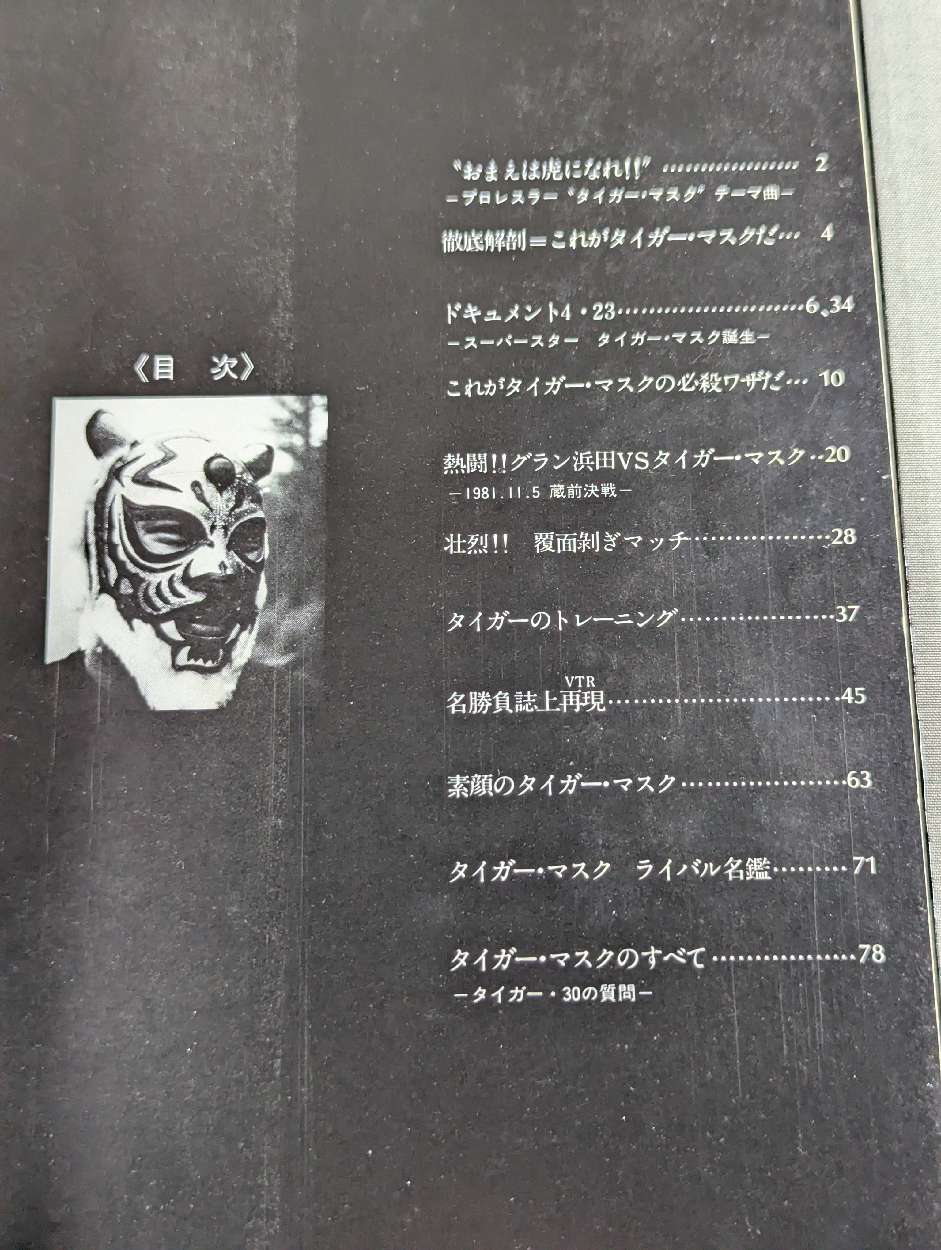 タイガーマスク写真集 テレビ朝日ゴールデンアルバム – 闘道館