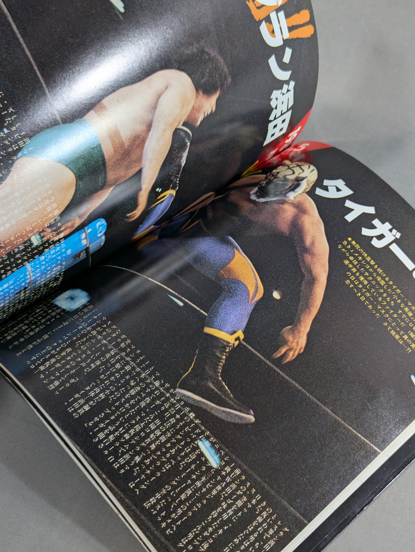 Tiger Mask photo  collection TV Asahi Golden Album