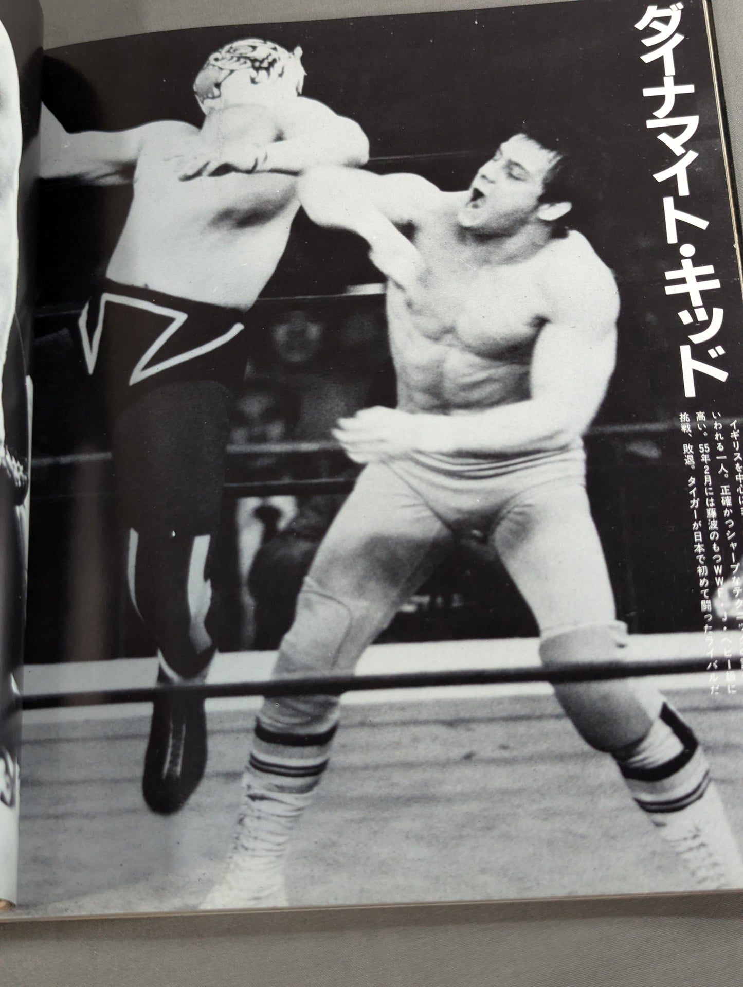 Tiger Mask photo  collection TV Asahi Golden Album