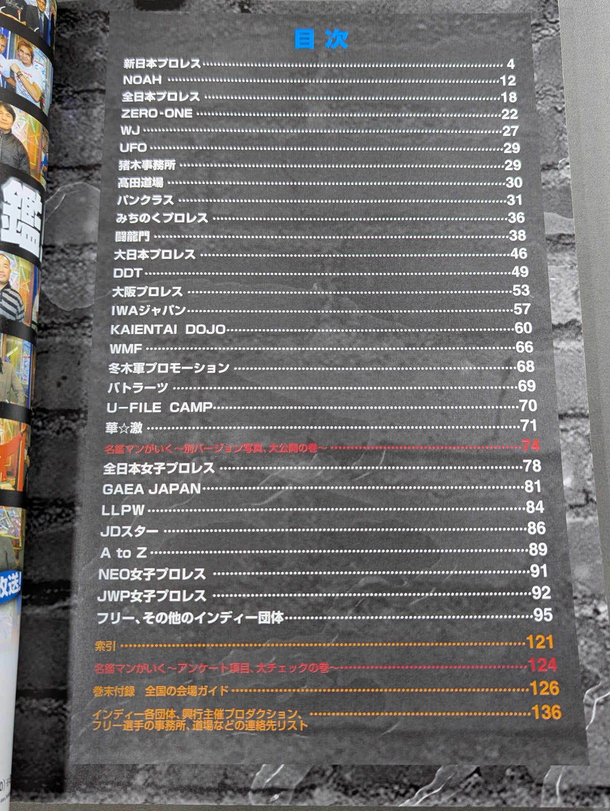 プロレスラー カラー写真名鑑2004 増補改訂版