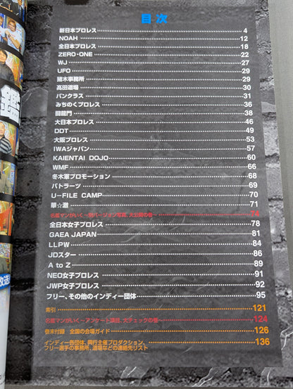 プロレスラー カラー写真名鑑2004 増補改訂版