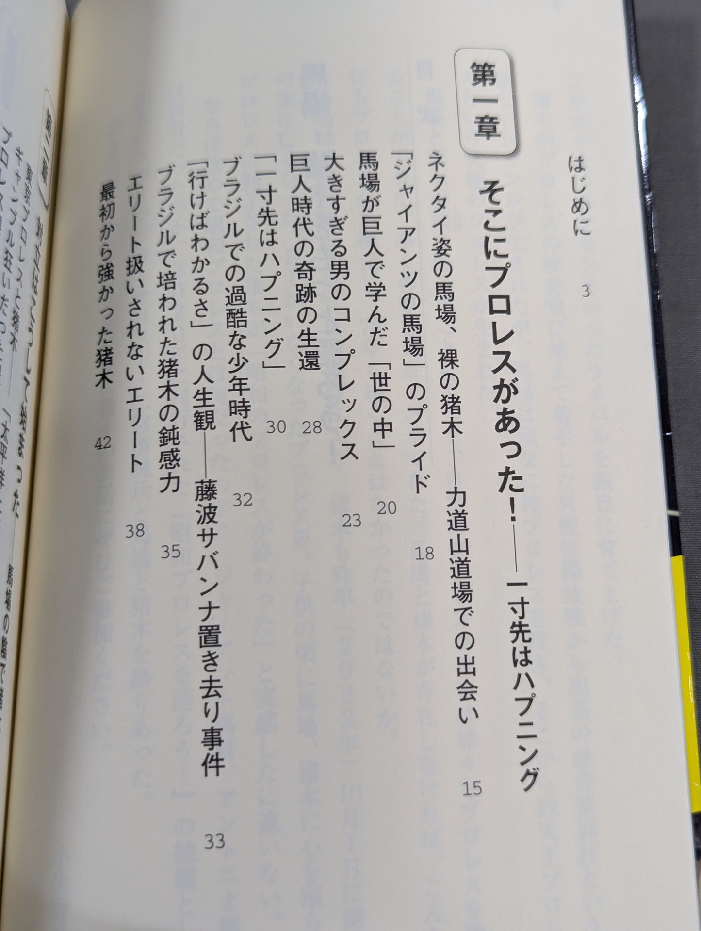 馬場・猪木をもっと語ろう!