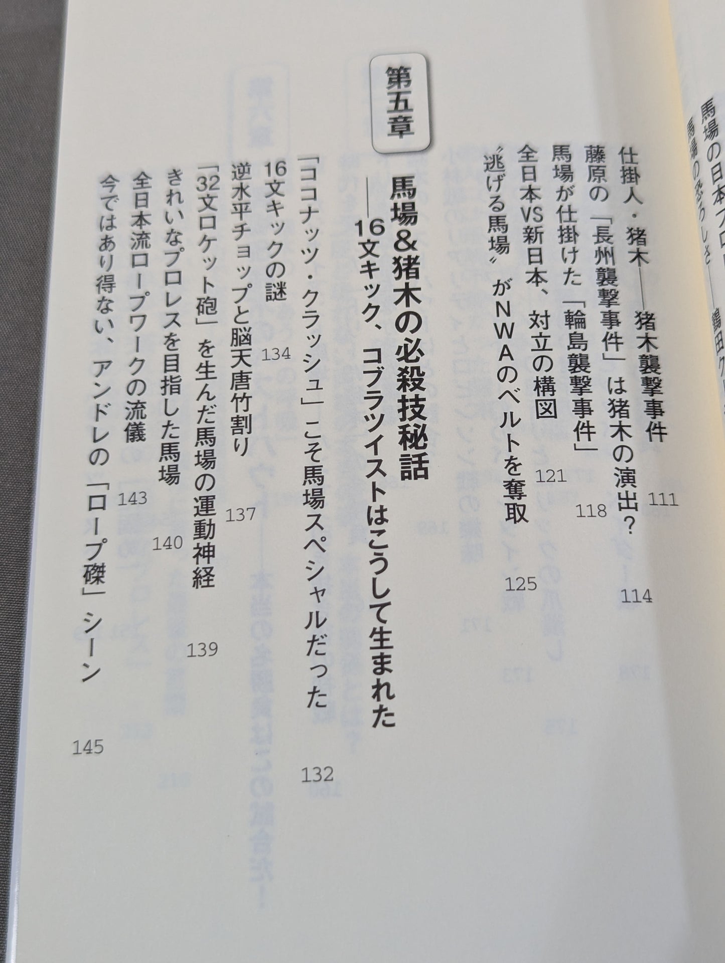 馬場・猪木をもっと語ろう!