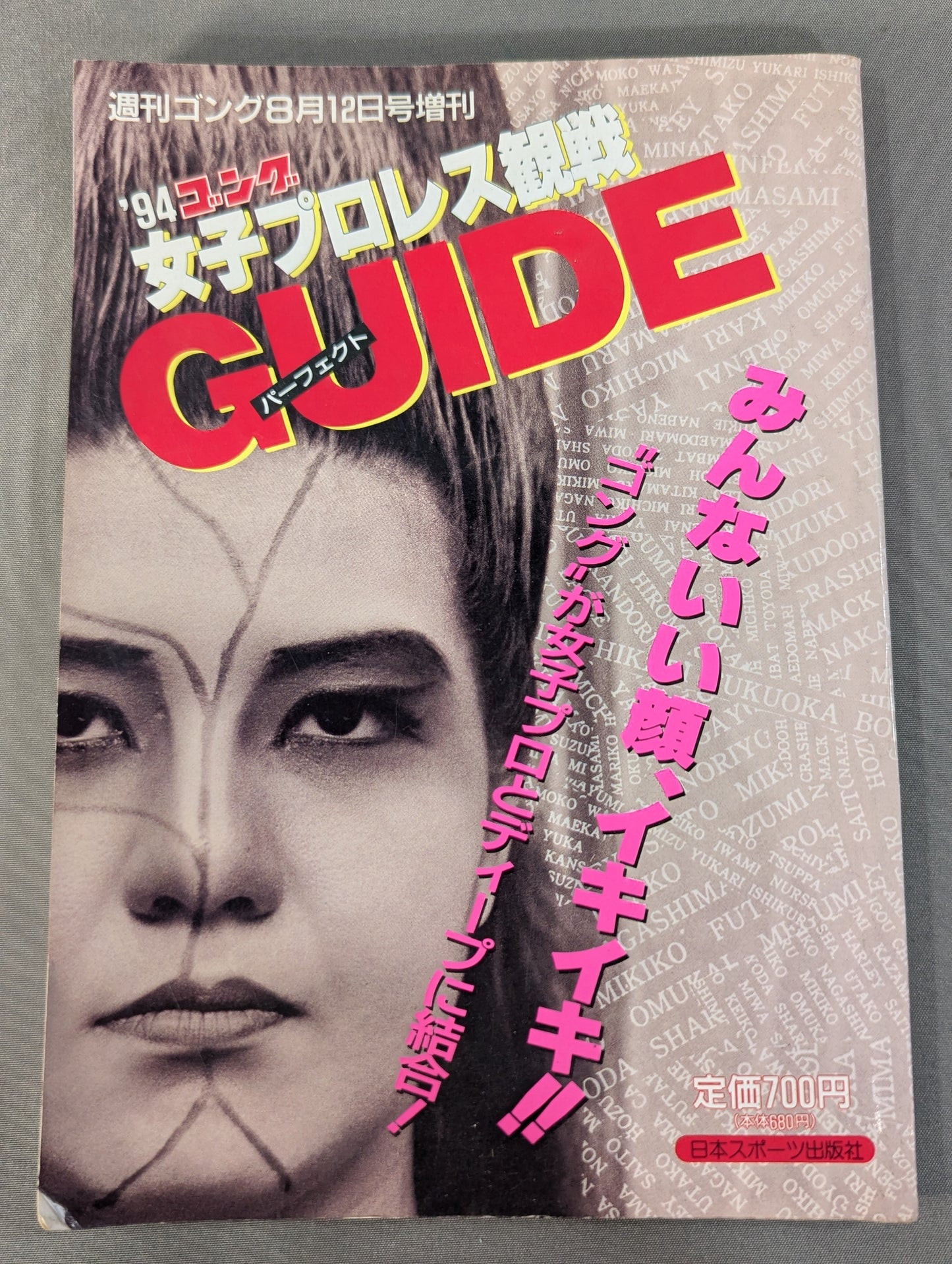 94 Gong Women's Pro Wrestling Perfect Guide