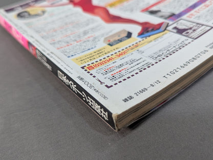 94 Gong Women's Pro Wrestling Perfect Guide