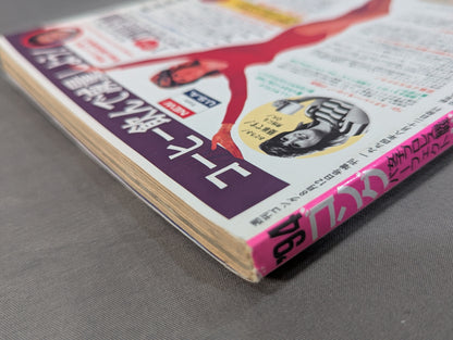 94 Gong Women's Pro Wrestling Perfect Guide