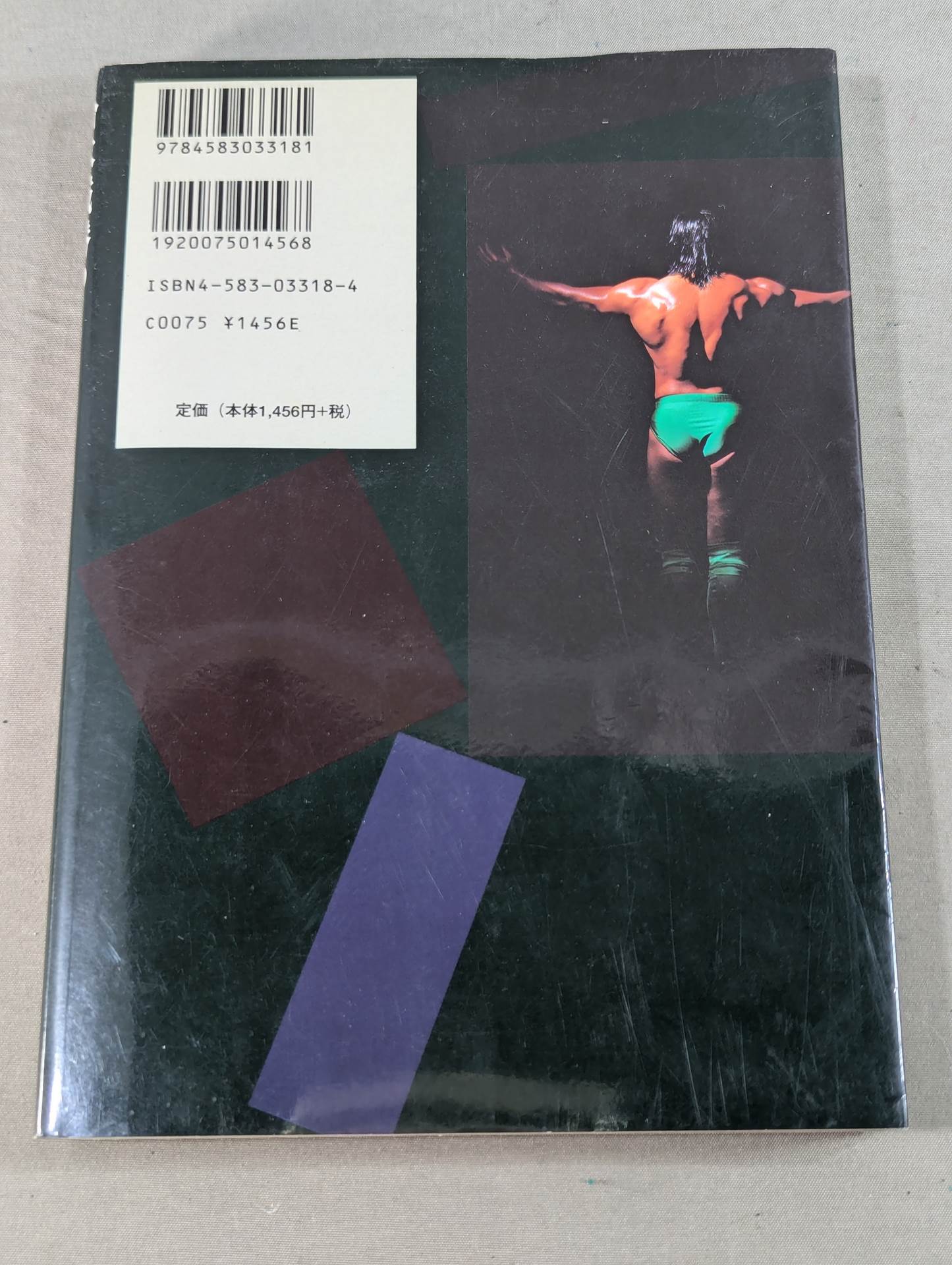 船木誠勝のハイブリッド肉体改造法