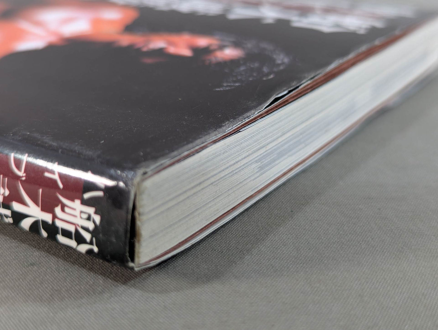 船木誠勝のハイブリッド肉体改造法