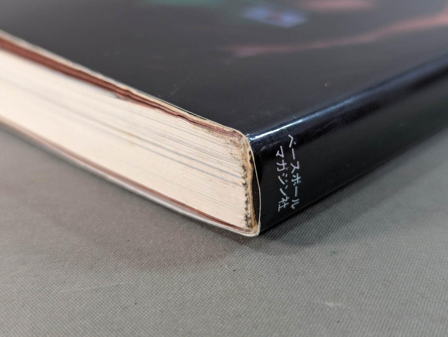 船木誠勝のハイブリッド肉体改造法