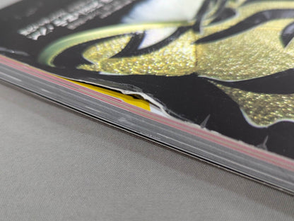 Pro Wrestling  Mask World Pro Wrestling ・Complete guide to the Mask Museum