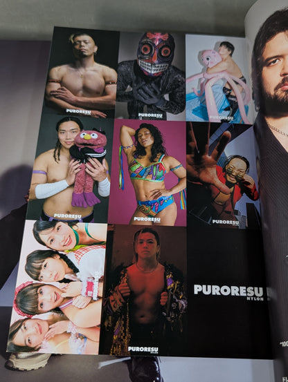 PURORESU NYLON