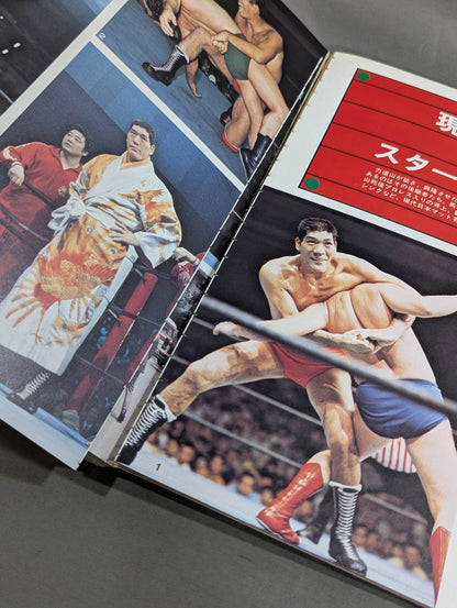 別冊プロレス 夏季号  秘蔵写真でつづる日本のプロレス