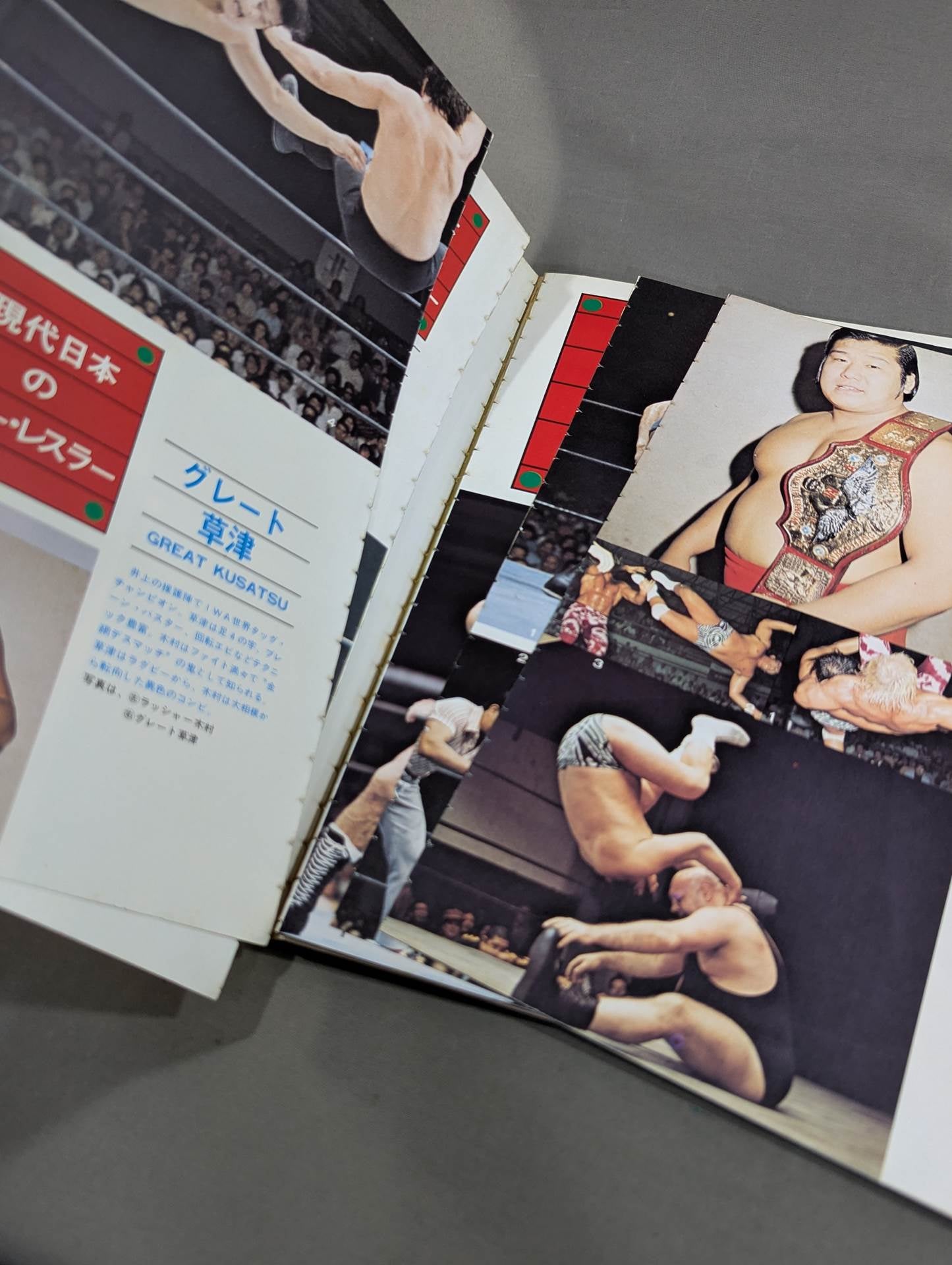 別冊プロレス 夏季号  秘蔵写真でつづる日本のプロレス
