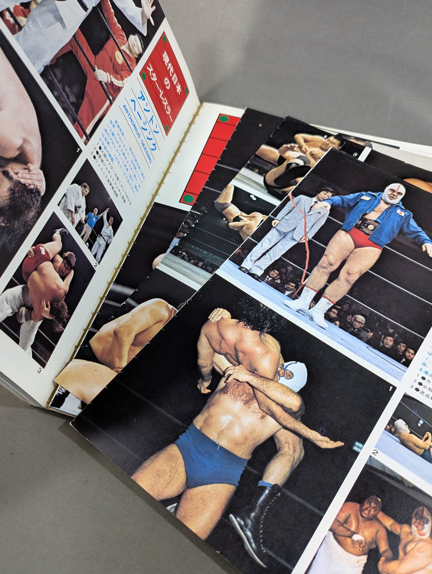 別冊プロレス 夏季号  秘蔵写真でつづる日本のプロレス