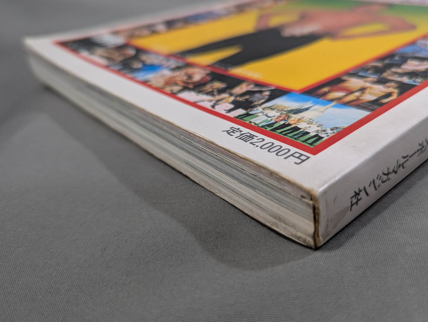 別冊プロレス 夏季号  秘蔵写真でつづる日本のプロレス