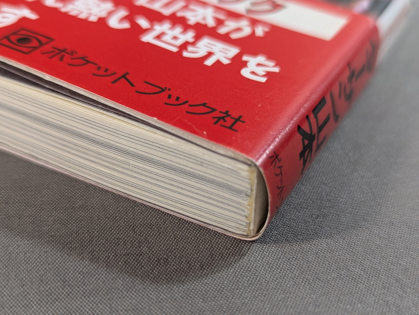 ポケットブック121 格闘技の読み方