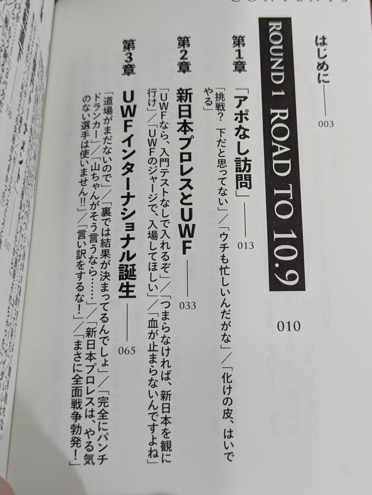 10.9 プロレスのいちばん熱い日　新日本プロレスvsUWFインターナショナル全面戦争　30年目の真実