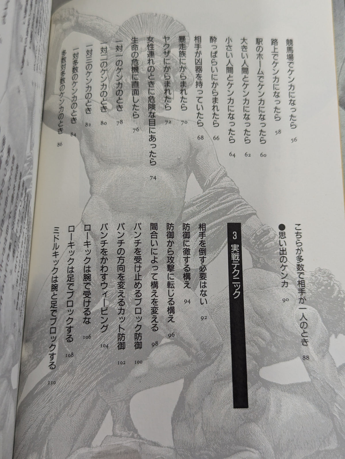 ｢ケンカ｣の聖書(バイブル) 一般市民のための護身実践ハンドブック