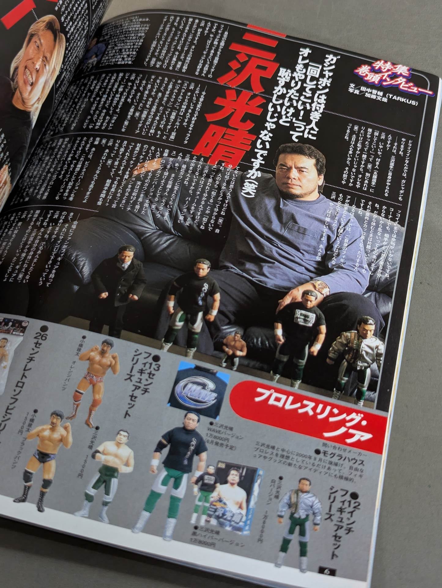 フィギュア王 No.43 特集激闘プロレスフィギュア – 闘道館