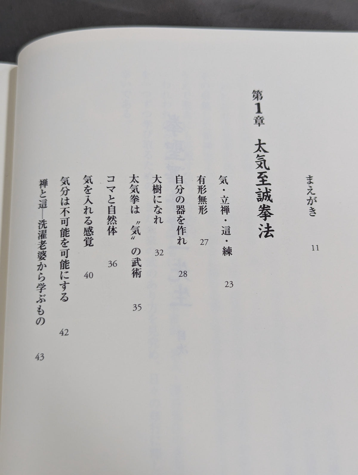 拳聖 澤井健一先生(新版)