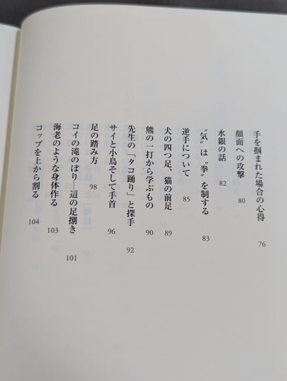 拳聖 澤井健一先生(新版)