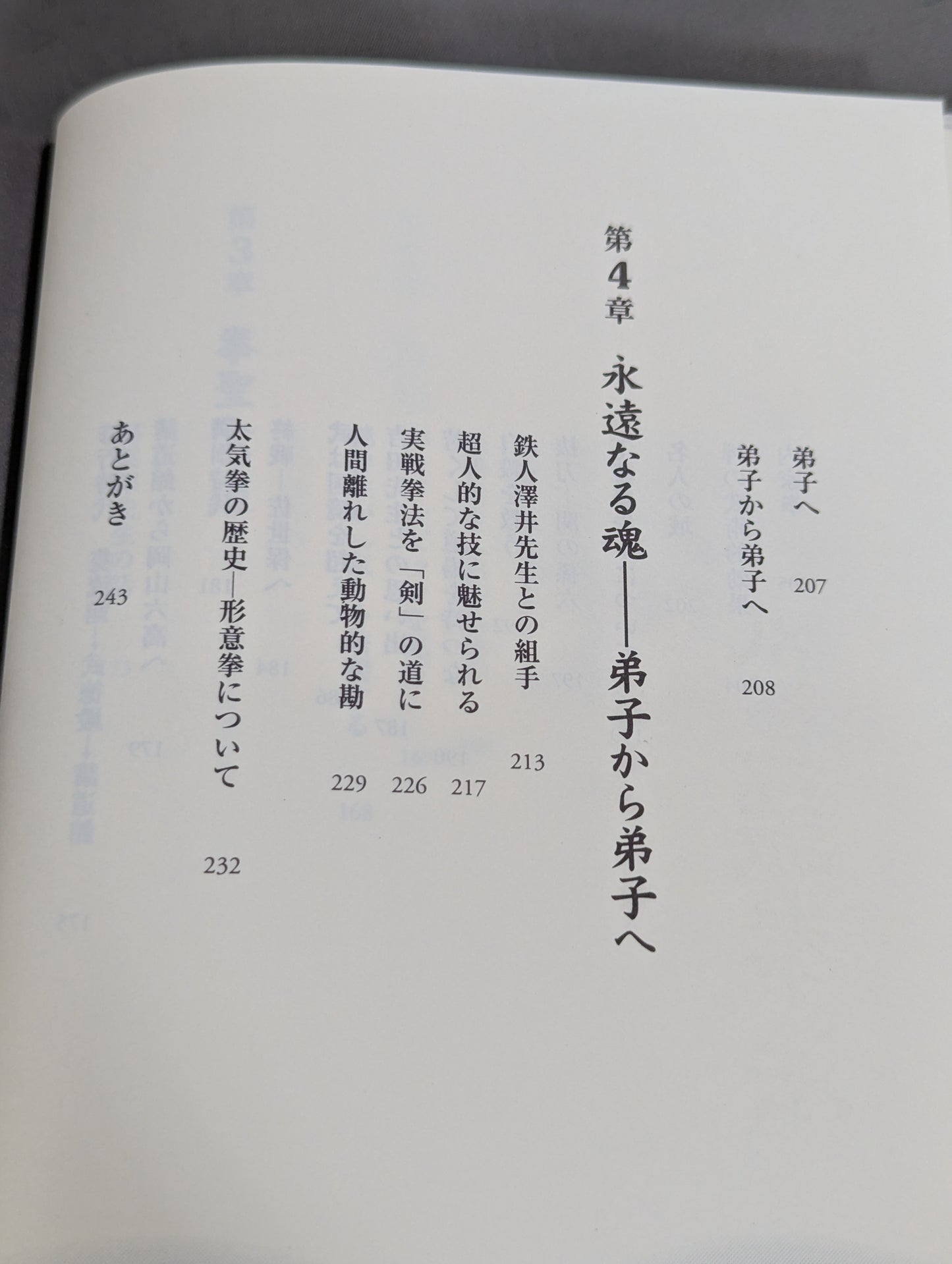 拳聖 澤井健一先生(新版)