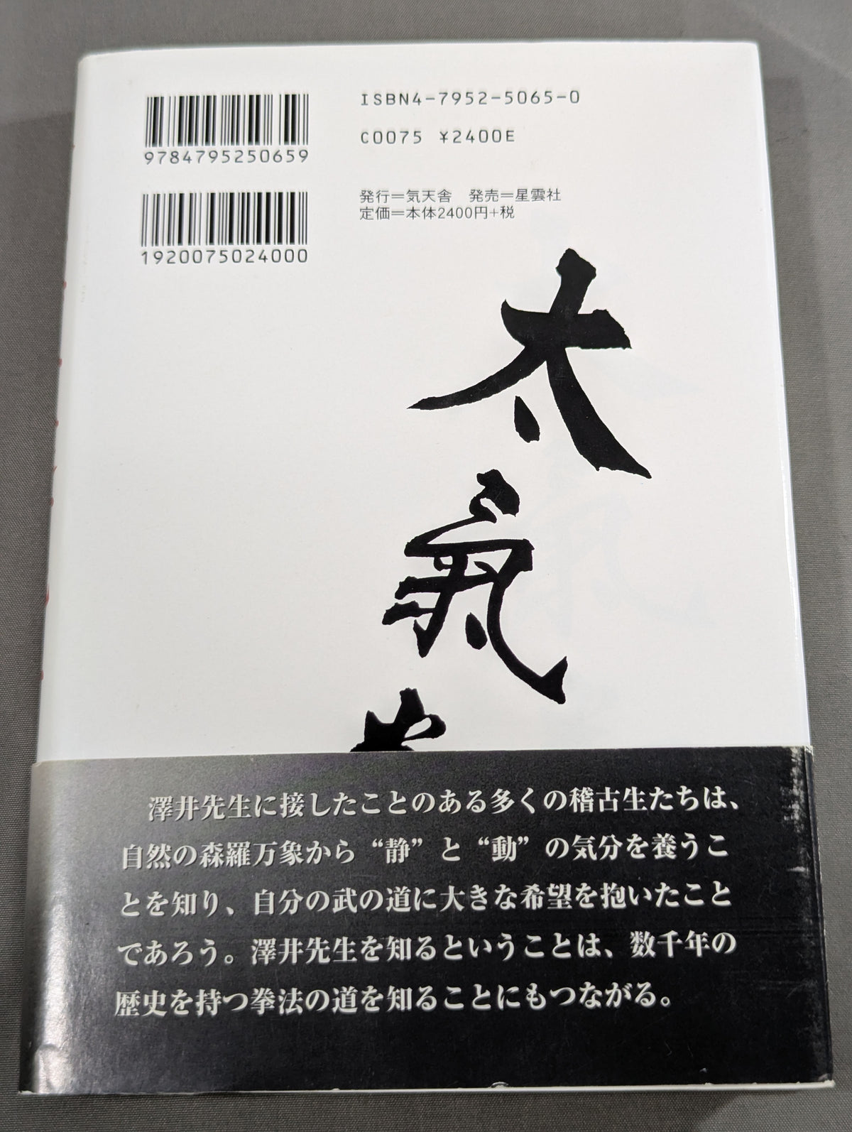 拳聖 澤井健一先生(新版)