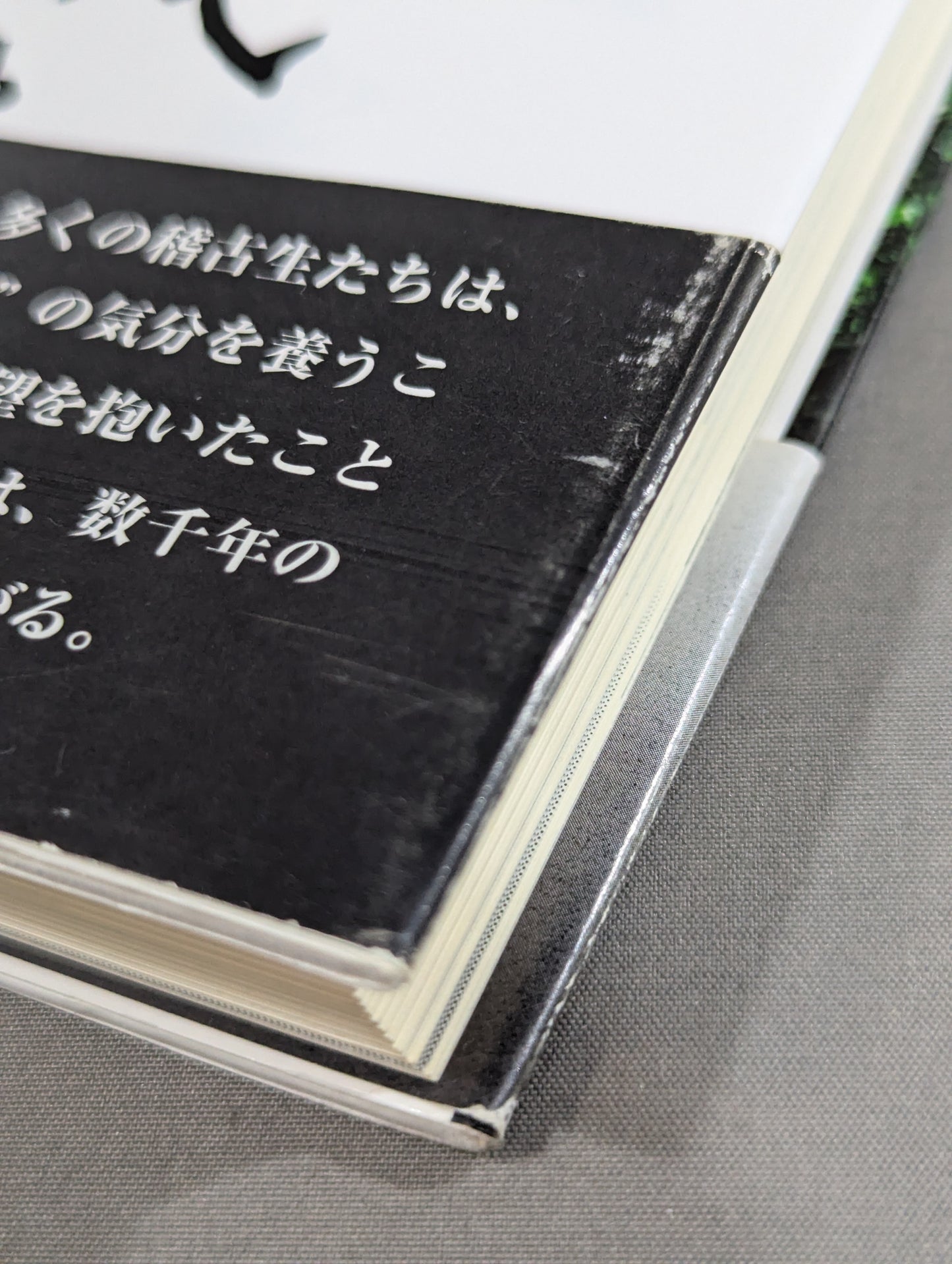 拳聖 澤井健一先生(新版)