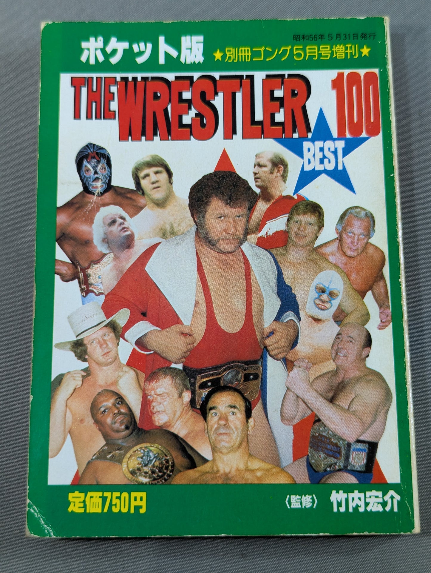 THE WRESTLER BEST 100 (ポケット版)