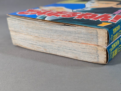 [2 volumes in total]