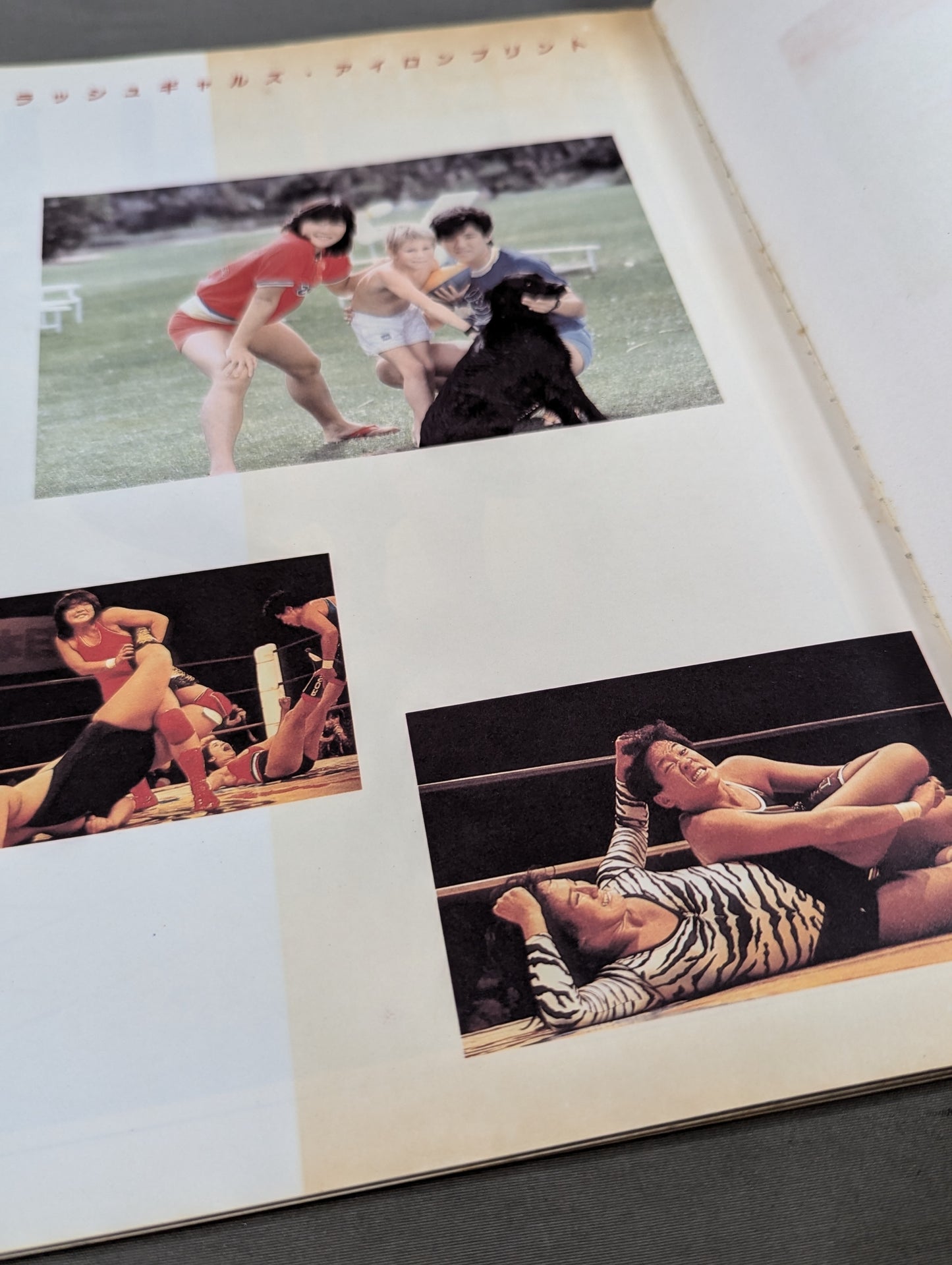裸足の戦士たち 女子プロレス・ドラマティック写真集