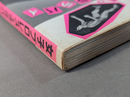 女子プロレス・ララバイ