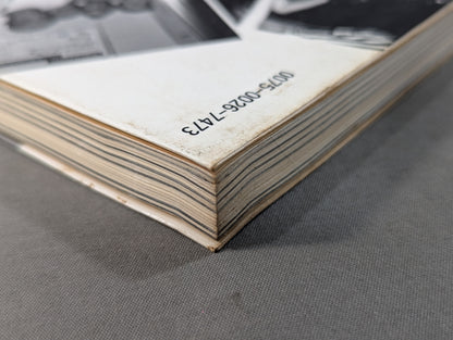 女子プロレス・ララバイ