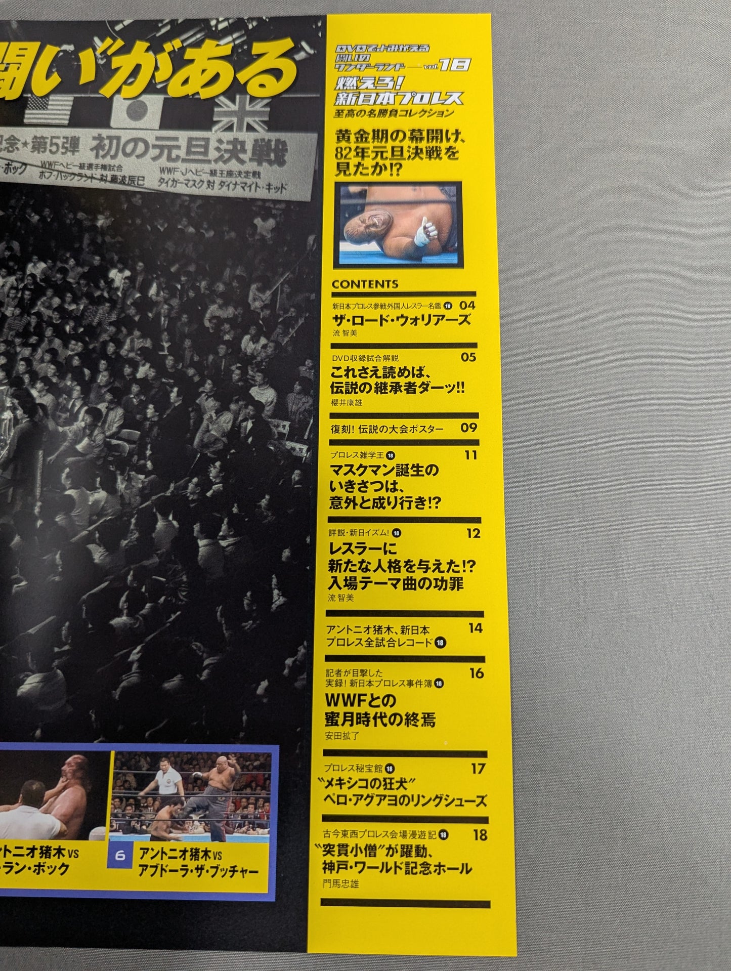 Burn! New Japan Pro Wrestling  vol.18